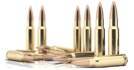 <br />RIFLE AMMUNITION